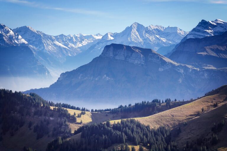 Die Rolle der Schweiz im globalen Finanzmarkt