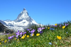 Events in der Schweiz: Mehr als nur Unterhaltung