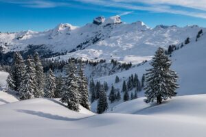 Finanzplatz Schweiz: Ein Insiderbericht