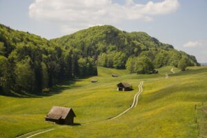 Fintech-Revolution aus der Schweiz