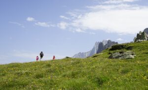Nachhaltige Innovationen: Schweizer Wirtschaft im Wandel