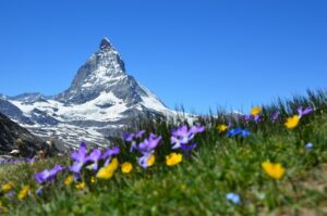 Schweizer Banken: Vergangenheit und Zukunft