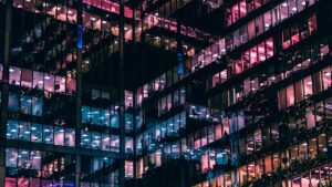 Wem gehört Wingo? Die Wahrheit hinter dem Unternehmen